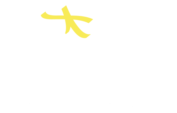 NIEDOWN RECORDS STORE